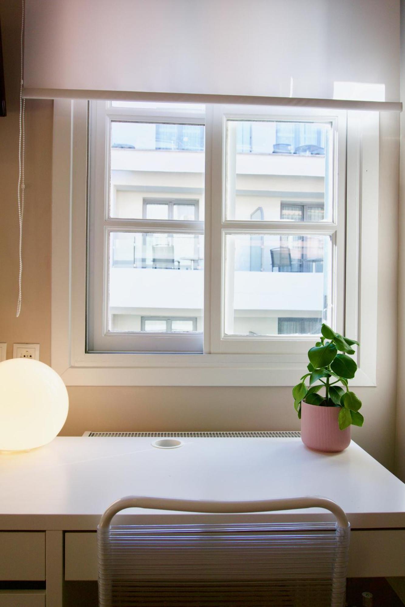 Syntagma Square: Amazing Cozy Studio - Whale Athen Eksteriør billede